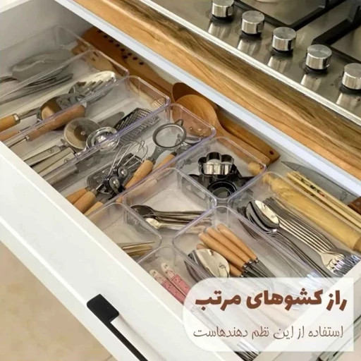 نظم دهنده آریسام
