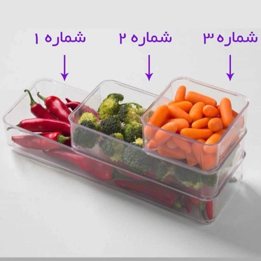 نظم دهنده آریسام